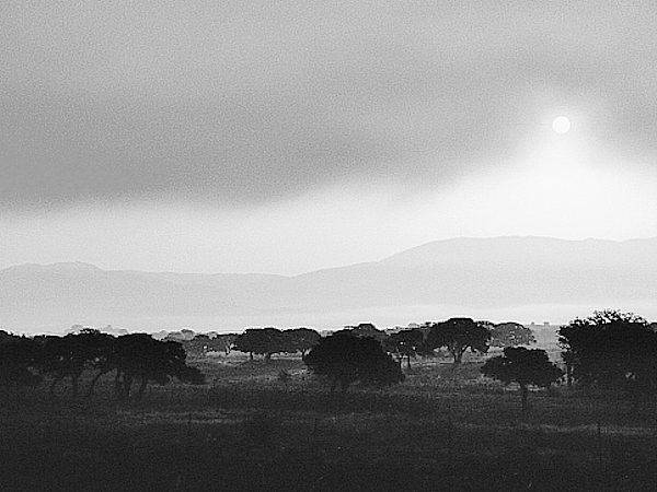 Sardinia autuum 2005 8:00 a.m.