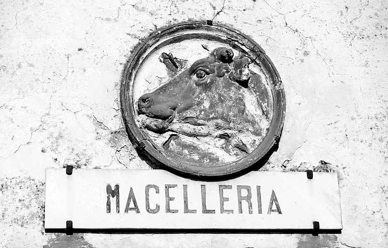 Marcelleria