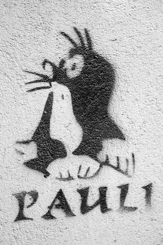 Pauli