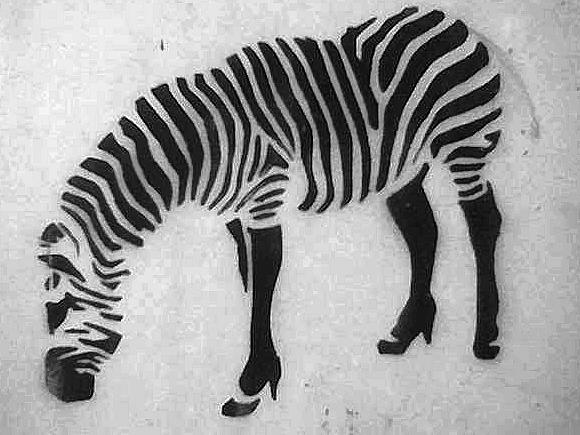 zebra 2