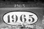 1965 1965