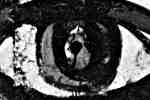 Augen Augen