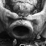 Satyr Satyr
